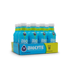WATERMELON - READY TO DRINK - 12 PACK